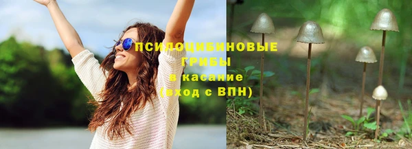 соль ск Пестово