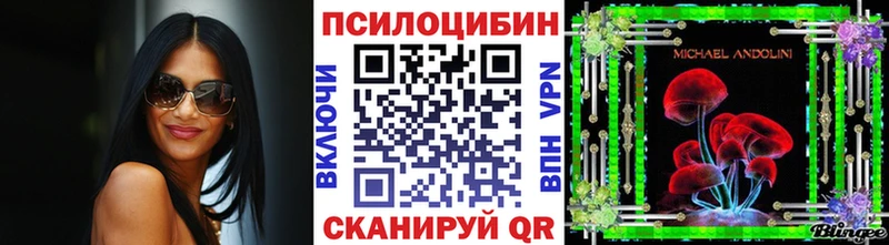 Псилоцибиновые грибы GOLDEN TEACHER блэк спрут зеркало Курчатов